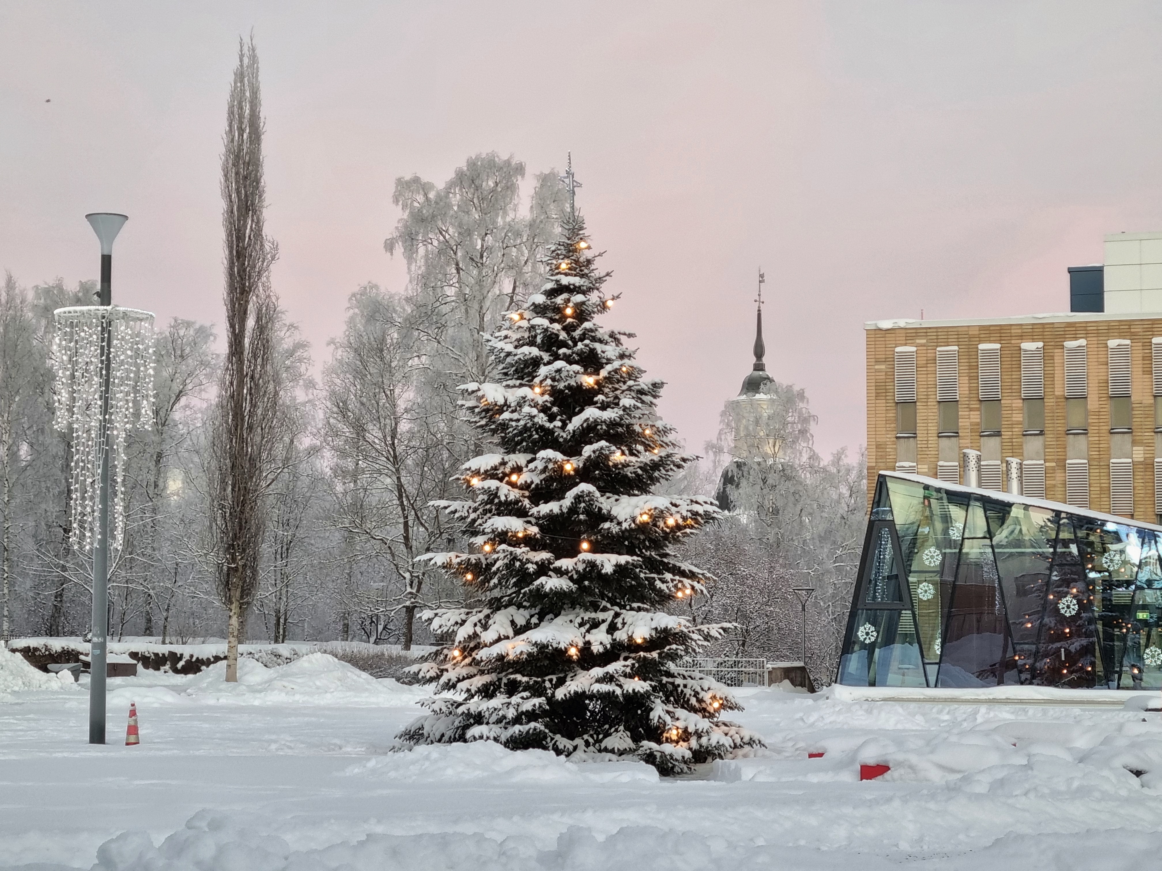 Luminen joulukuusi torilla. Lumisia puita ja rakennuksia taustalla sekä punertava taivas.